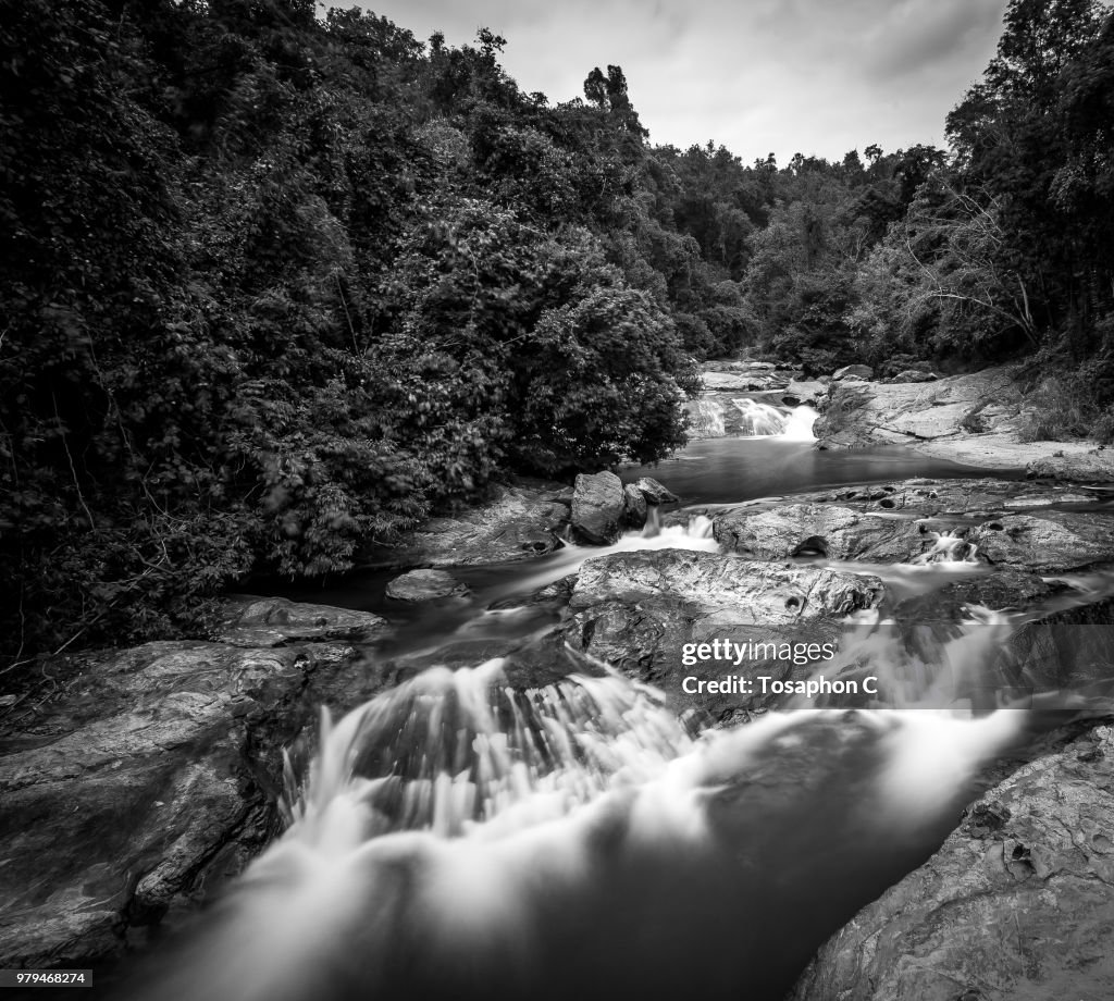 Nature / Landscapes