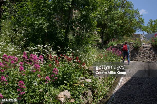 Spring flowers in Termes, France. Termes is a commune in the Aude department in southern France.