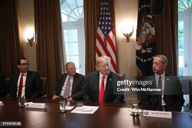 President Donald Trump meets with members of the U.S. Congress on immigration in the Cabinet Room of the White House June 20, 2018 in Washington, DC....