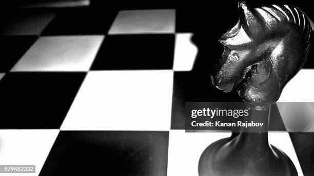 horse of the chess - kangan stock pictures, royalty-free photos & images