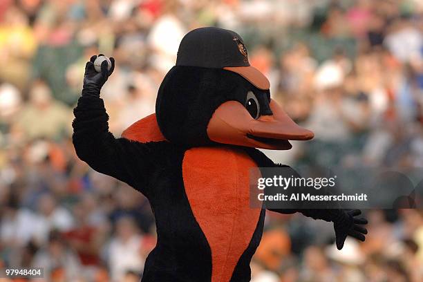 Baltimore Orioles mascot tosses a ball before play against the Chicago White Sox July 28, 2006 in Baltimore, Maryland. The Sox won 6 - 4 on a ninth...