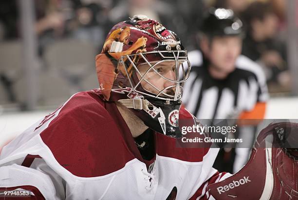 Jason LaBarbera of the Phoenix Coyotes tends goal against the Dallas Stars on March 21, 2010 at the American Airlines Center in Dallas, Texas.