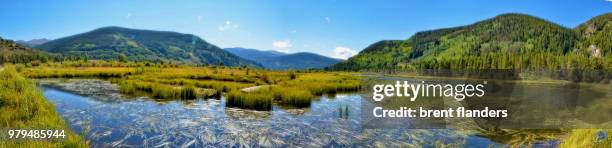 Pando Landscape 81 Pando (Tree) Stock Photos, High-Res Pictures, and Images - Getty Images