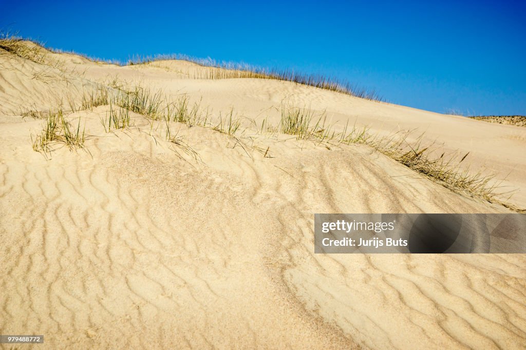 Sand Dune