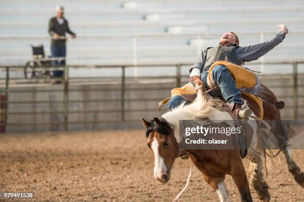 rodeo cowboy und wildpferd - wildunfall stock-fotos und bilder