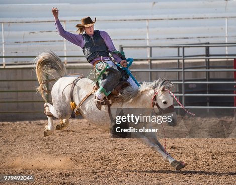 Caballo Rodeo Rodeo Cowboy And Wild Horse High-Res Stock Photo - Getty Images