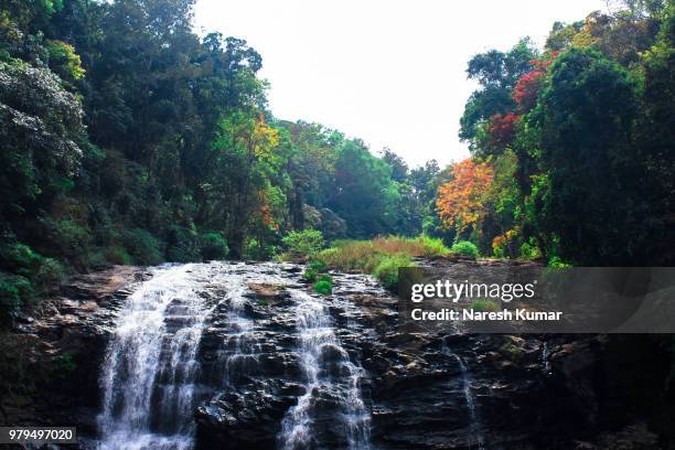 view of abbey falls, kodagu, karnataka, india - coorg stock pictures, royalty-free photos & images