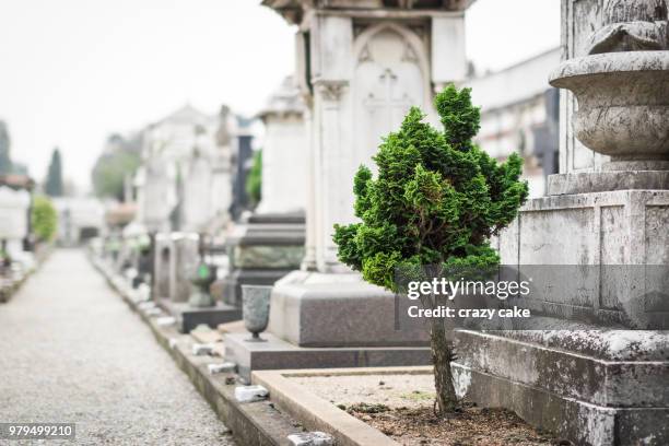 cimitero monumentale, milan - cimitero - fotografias e filmes do acervo