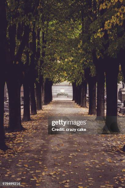 cimitero monumentale, milan - cimitero stock pictures, royalty-free photos & images