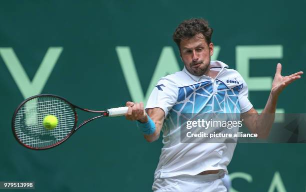 June 2018, Germany, Halle: Tennis, 2018 ATP World Tour, single, Men's, last sixteen. Robin Haase of the Netherlands in action against Spain's...