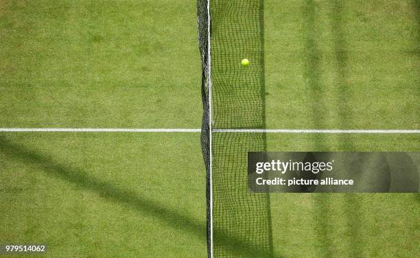 June 2018, Germany, Halle: Tennis, 2018 ATP World Tour, single, Men's, last sixteen. The ball hits the net in the match between Robin Haase of the...