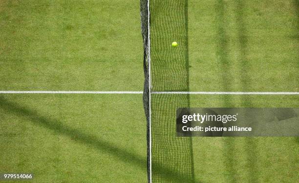 June 2018, Germany, Halle: Tennis, 2018 ATP World Tour, single, Men's, last sixteen. The ball hits the net in the match between Robin Haase of the...