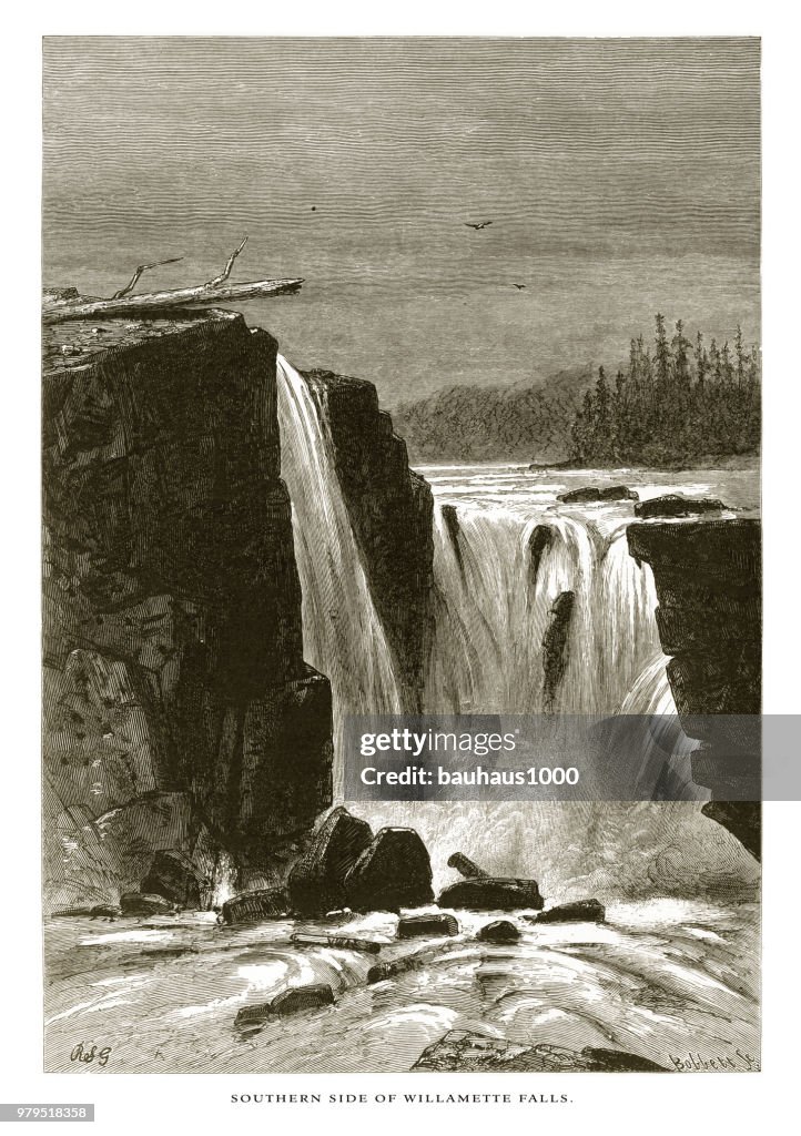 Southern Side of Willamette Falls, Cascade Range, Oregon, United States, American Victorian Engraving, 1872