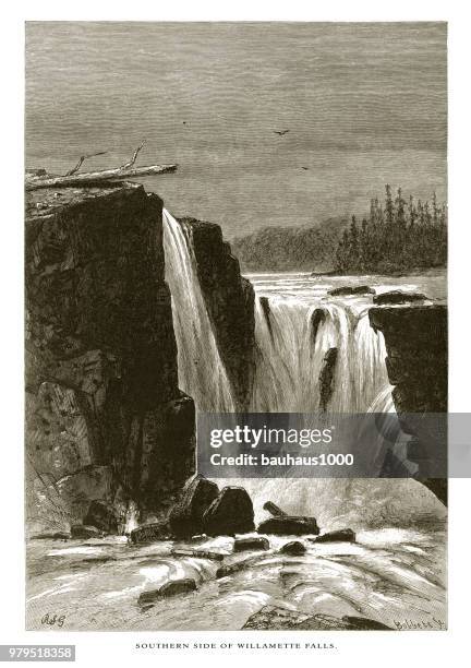 southern side of willamette falls, cascade range, oregon, united states, american victorian engraving, 1872 - willamette river stock illustrations
