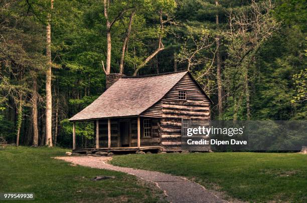 lone wooden cabin in woods - cabin stockfoto's en -beelden