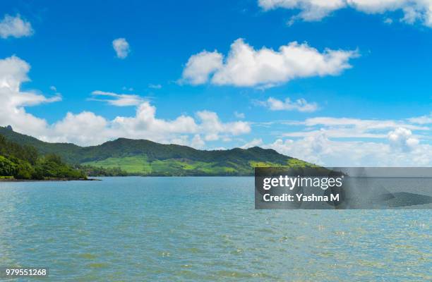 cloudy sky over green coastline, vieux grand port, mauritius - vieux grand port stockfoto's en -beelden