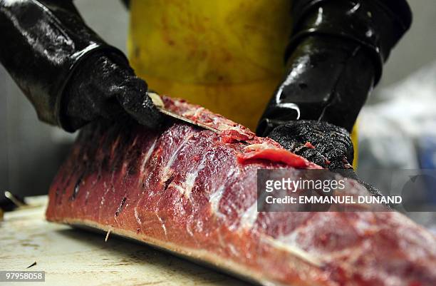 Worker prepares a bluefin tuna's belly in order to provide it to New York's top sushi restaurants at a fish market in Jersey City, New Jersey, March...