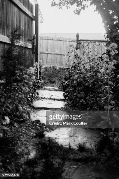 the garden path - coulter stock pictures, royalty-free photos & images
