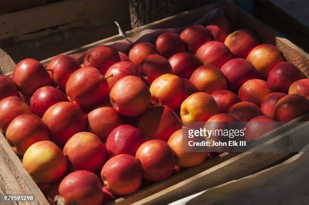wooden crate of red apples - apple imagens e fotografias de stock