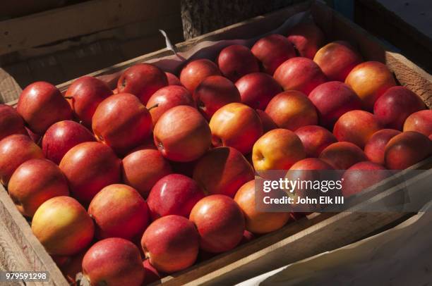 wooden crate of red apples - apple 個照片及圖片檔