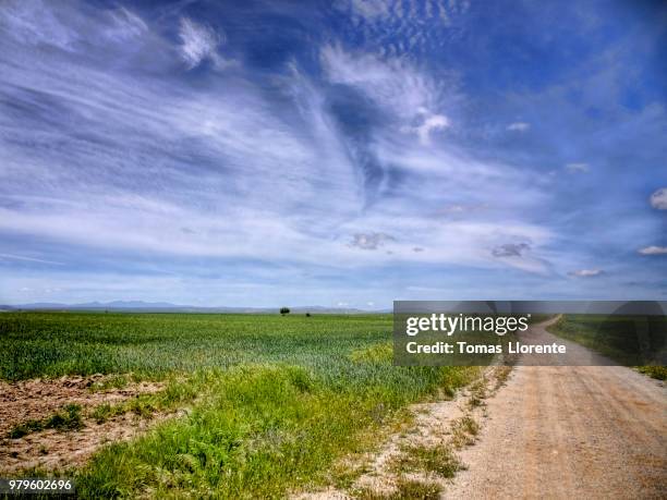 blanco camino - llorente stock pictures, royalty-free photos & images