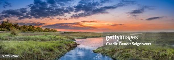 sunset over green land, arcachon, gujan-mestras, france - arcachon - fotografias e filmes do acervo