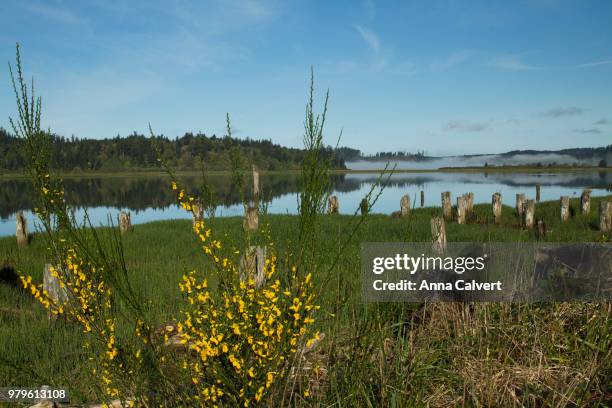 gardiner boat launch area, umpqua river oregon - boat launch stock pictures, royalty-free photos & images