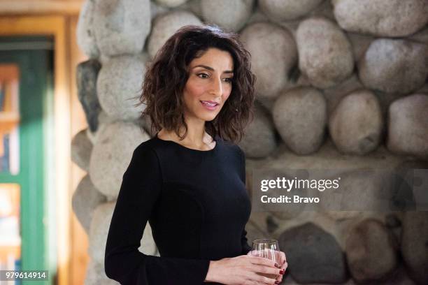 Rule: Let It Shine" Episode 404 -- Pictured: Necar Zadegan as Delia --