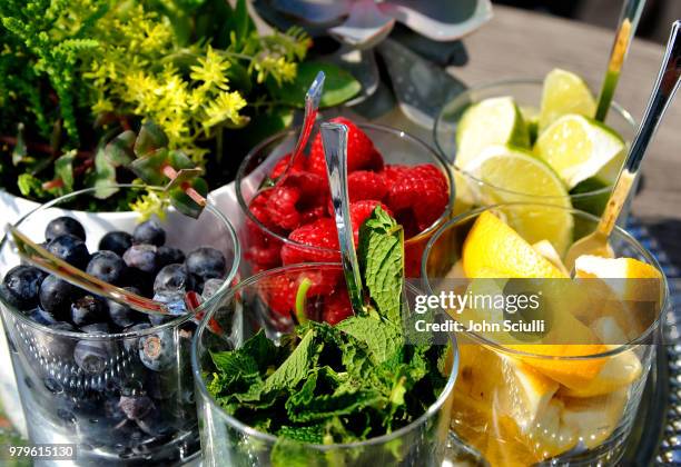 General view at SodaStream's celebration of National Hydration Day on June 20, 2018 in Beverly Hills, California.