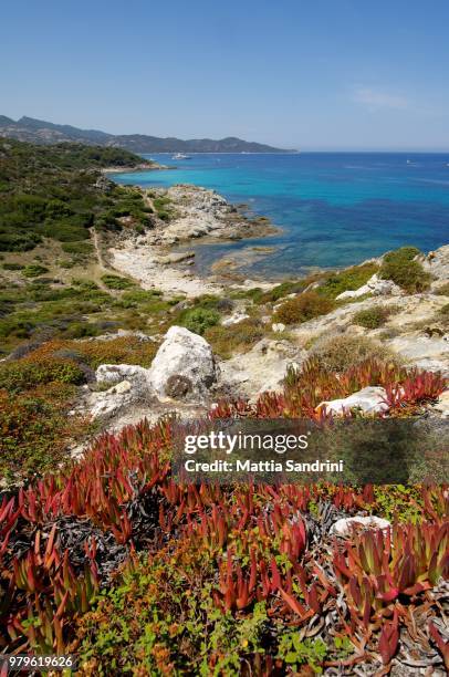 from lodo to saleccia 2 - lodo stock pictures, royalty-free photos & images