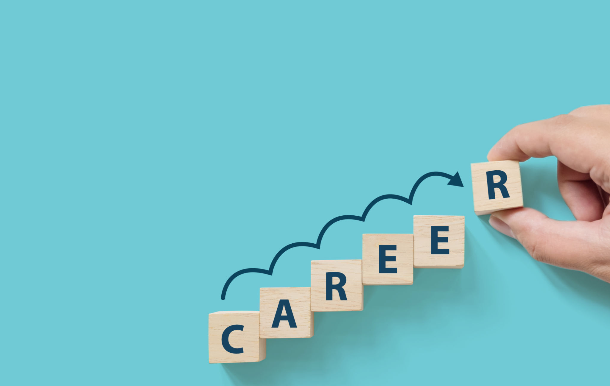 career opportunity