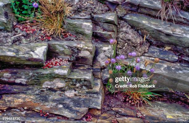 slate rock wall garden - slate rock stock-fotos und bilder