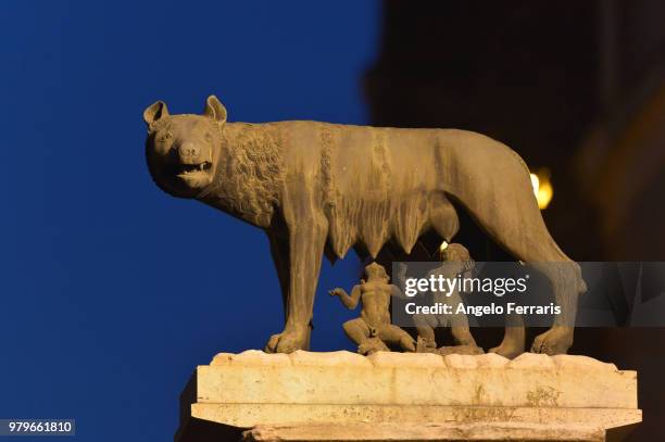 561 Lupa Capitolina Stock Photos, High-Res Pictures, and Images