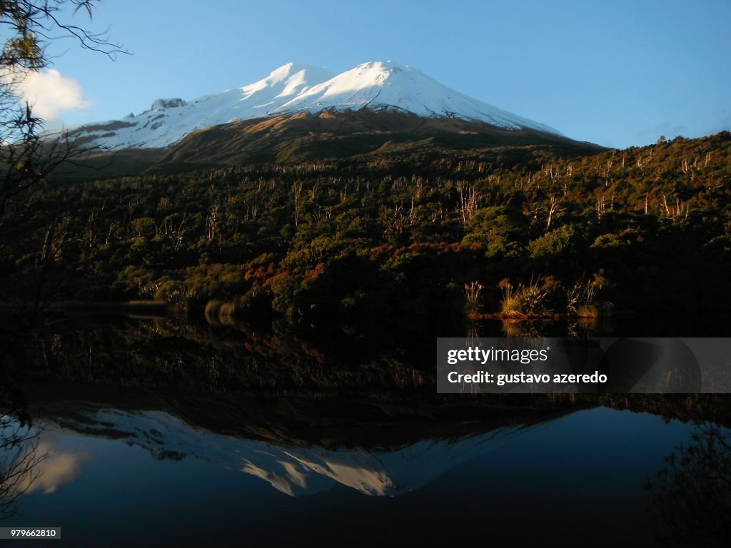 Mount Taranaki reflections in lake, New Plymouth, Taranaki, New Zealand