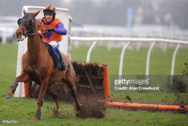 Alderluck and Liam Treadwell smash through the last hurdle before winning to win The betdaq.co.uk Handicap Hurdle at Kempton Park racecourse on March...