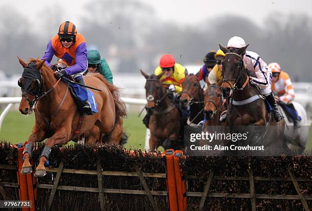 Alderluck and Liam Treadwell lead all the way to win The betdaq.co.uk Handicap Hurdle Race at Kempton Park racecourse on March 23, 2010 in Sunbury,...