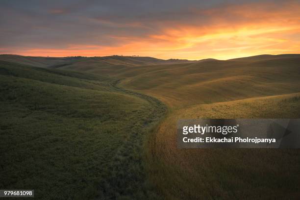 tuscany landscape with cypresses tree , val d'orcia ,toscana , italy. - asciano stock-fotos und bilder