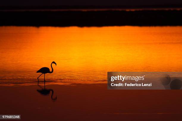 l'emozione della solitudine - solitudine stock pictures, royalty-free photos & images