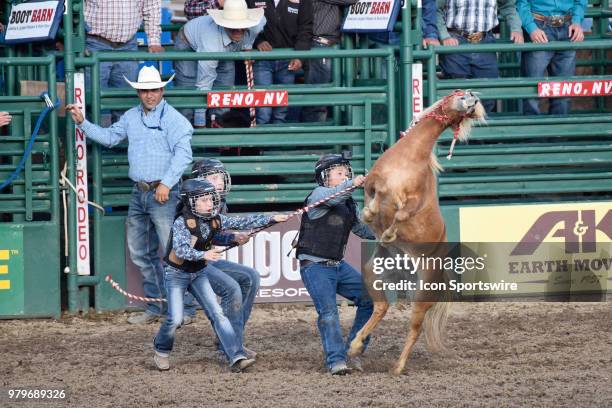 Wildest Rides Rodeo Rodeo Participants Photos and Premium High Res Pictures - Getty Images