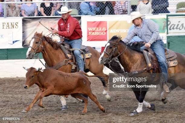 Bulldogging Bulldogging Photos and Premium High Res Pictures - Getty Images