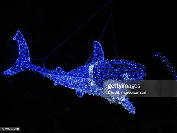 night shark attack - silver shark stock pictures, royalty-free photos & images