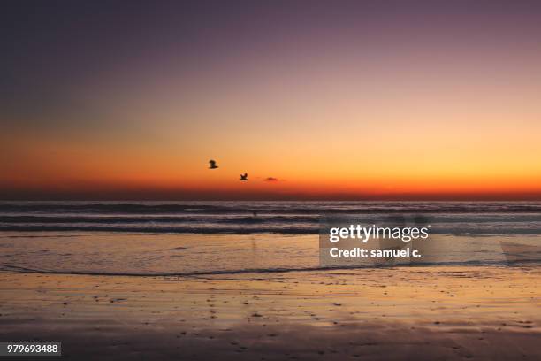 sunset over la serena chile - la serena stock-fotos und bilder