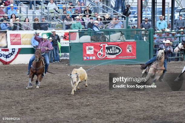 Steer Roping Photos and Premium High Res Pictures - Getty Images