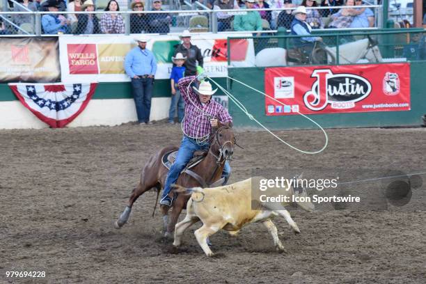 Training Roping Steers 848 Steer Roping Stock Photos, High-Res Pictures, and Images - Getty Images