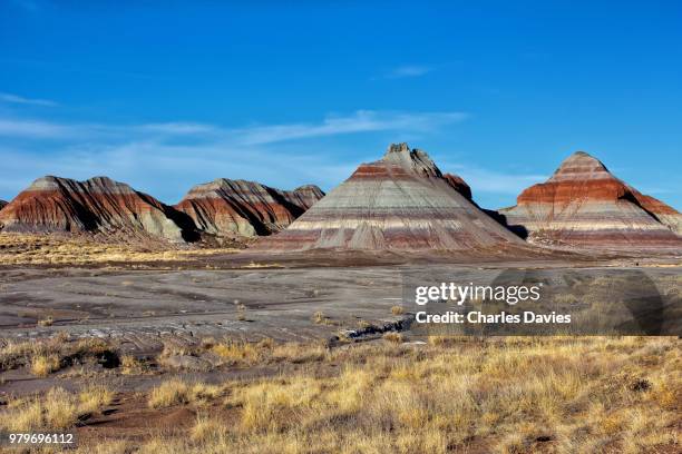landscape of tepees in petrified forest national park, arizona, usa - 化石の森国立公園 ストックフォトと画像
