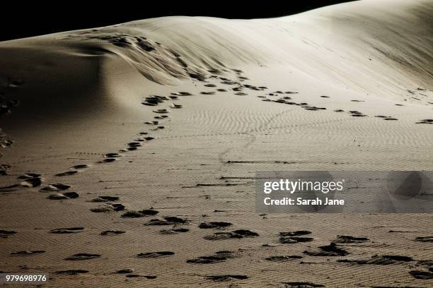 sand dunes - sarah sands stock pictures, royalty-free photos & images