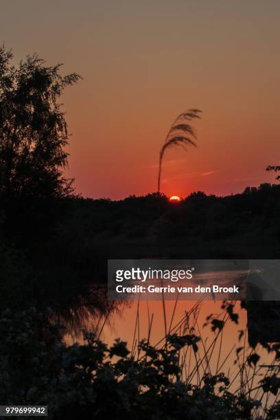 sunset - broek ストックフォトと画像