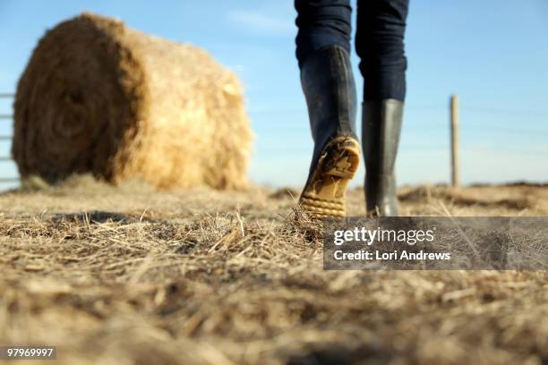 rubber boots and golden hay-bale ranch work - bale fotografías e imágenes de stock