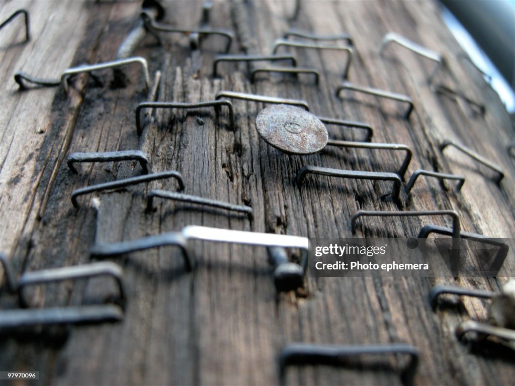 Staples on utility pole