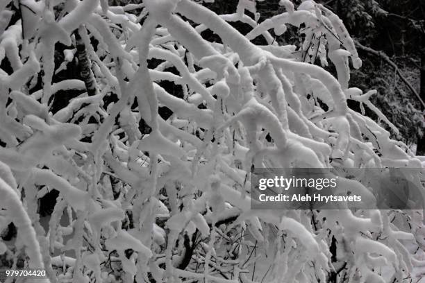 Interweaving Photos and Premium High Res Pictures - Getty Images